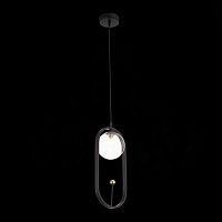 SL1201.403.01 Подвес ST-Luce Черный/Прозрачный G9 1*5W CIRCONO