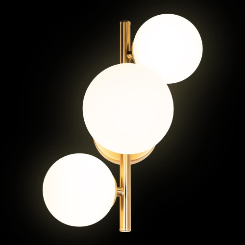 10236/3W Настенный светильник LOFT IT Tely фото 2