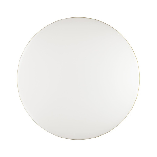 3043/DL TAN SN 000 Светильник пластик/белый/золотистый LED 48Вт 3000-6300К D385 IP43 пульт ДУ/ LampSmart LASSA фото 4 3043/DL TAN SN 000 Светильник пластик/белый/золотистый LED 48Вт 3000-6300К D385 IP43 пульт ДУ/ LampSmart LASSA фото 4