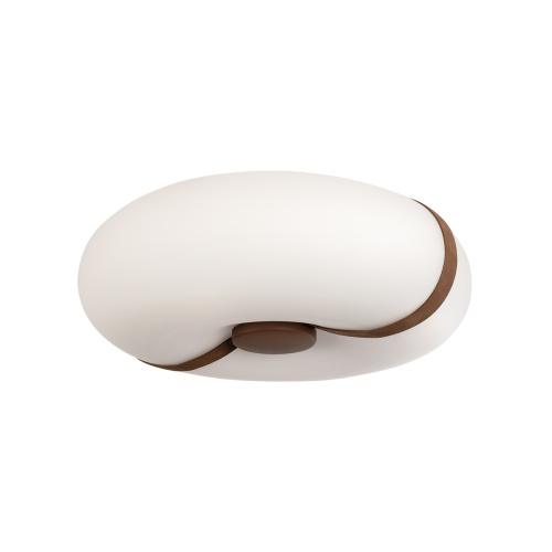 10473 Потолочный светильник LOFT IT Bolina