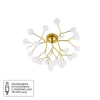 Потолочная люстра Arte Lamp CANDY A7274PL-27GO