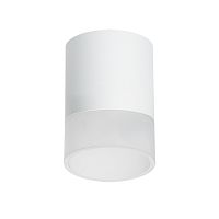 R348681 Светильник RULLO GX53 (213486+202481)