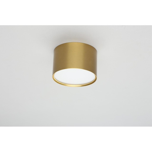 Светильник встраиваемый-накладной OML-100929-06 фото 4