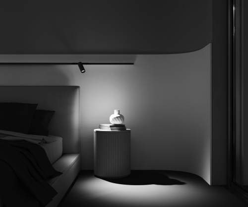 Трековый светильник Technical TR032-2-12W3K-M-BBS фото 15