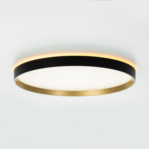 Citilux ETALON CL750401R LED RGB Светильник с пультом Чёрный+Золото фото 4 Citilux ETALON CL750401R LED RGB Светильник с пультом Чёрный+Золото фото 4