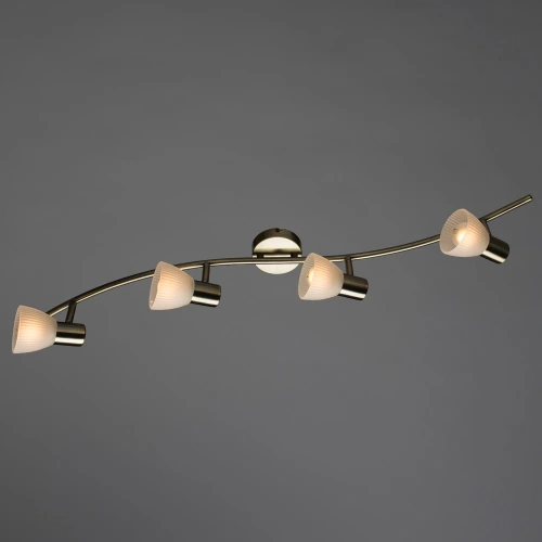 Спот Arte Lamp PARRY A5062PL-4AB фото 2