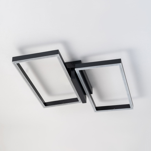 Потолочный светильник Escada 10209/2 LED*60W Black фото 2 Потолочный светильник Escada 10209/2 LED*60W Black фото 2