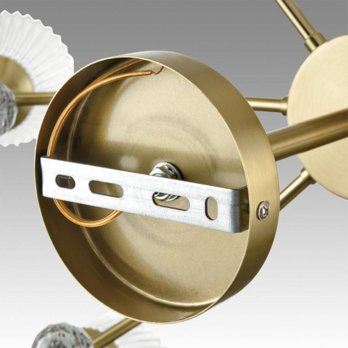 Потолочная люстра Lumion Classi Aurica 8046/6C фото 5