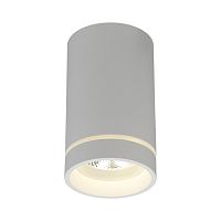 Светильник встраиваемый-накладной APL.0054.09.10