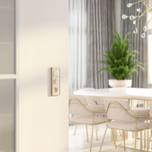 Диммер (айвори акрил) W1142043 фото 2