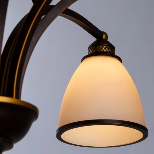 Подвесная люстра Arte Lamp BONITO A9518LM-8BA фото 3 Подвесная люстра Arte Lamp BONITO A9518LM-8BA фото 3