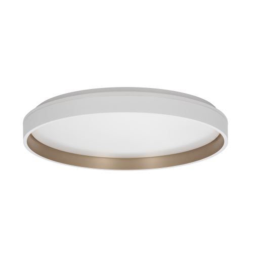 Citilux ENZO CL753510G LED RGB Светильник с пультом Белый + Золото фото 4 Citilux ENZO CL753510G LED RGB Светильник с пультом Белый + Золото фото 4