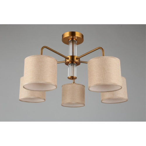 Люстра потолочная OML-56907-05 фото 8 Люстра потолочная OML-56907-05 фото 8