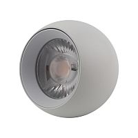 Светильник трековый APL.0055.09.05