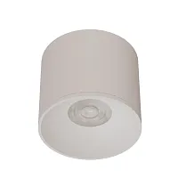 Точечный накладной светильник Arte Lamp PELL A9603PL-1WH