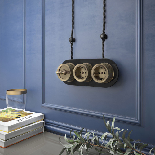 Розетка с заземлением бронзовый ретро W5771012 фото 2