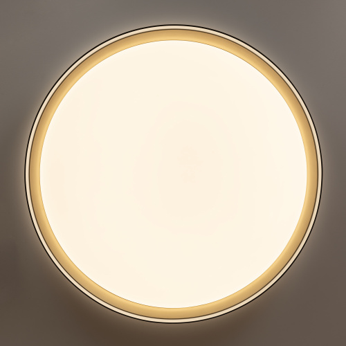 Citilux BOSS CL751451G LED RGB Светильник с пультом Чёрный с Золотом фото 7 Citilux BOSS CL751451G LED RGB Светильник с пультом Чёрный с Золотом фото 7