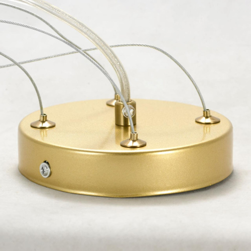 Люстра подвесная Lussole LSP-8455 фото 8 Люстра подвесная Lussole LSP-8455 фото 8