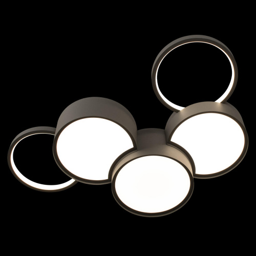 10317/5 Grey Потолочный светильник LOFT IT Pin фото 3