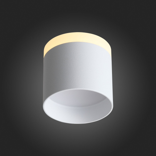 ST102.502.09 Светильник потолочный Белый LED 1*9W 3000K 702Lm Ra>80 120° IP20 D79xH75 170-240V Накладные светильники фото 3