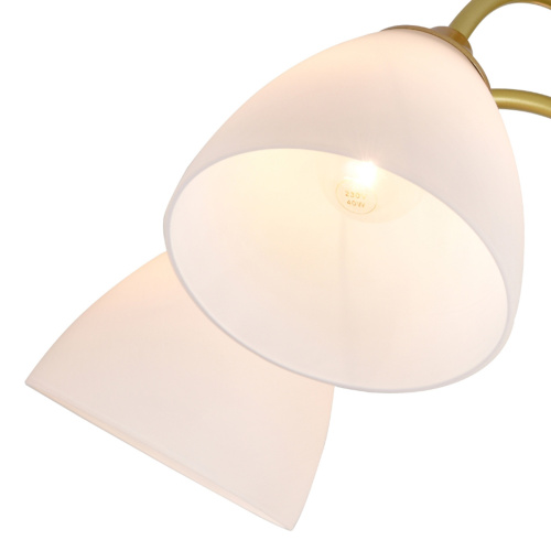 Светильник на штанге 150003/5R E27*60W Gold фото 2