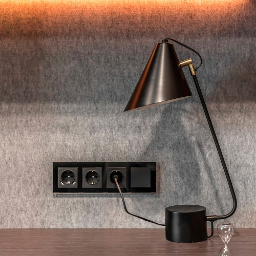 Розетка с заземлением и шторками (черный матовый) W1171108 фото 21