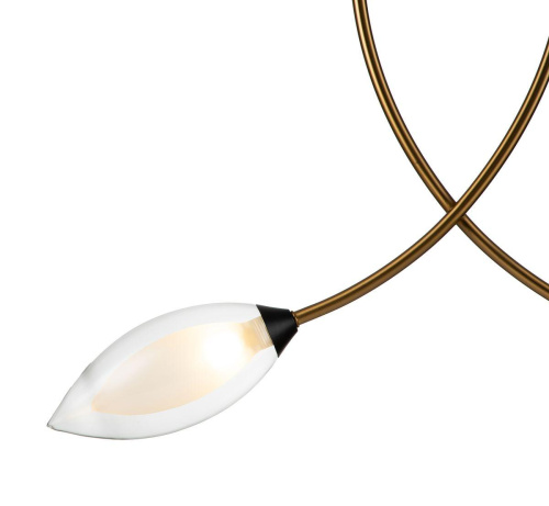 Подвесная люстра Indigo Fiore 13001/2P Black V000140 фото 5 Подвесная люстра Indigo Fiore 13001/2P Black V000140 фото 5