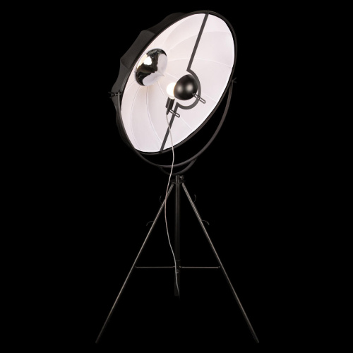 10301/L Торшер LOFT IT Studio фото 5 10301/L Торшер LOFT IT Studio фото 5