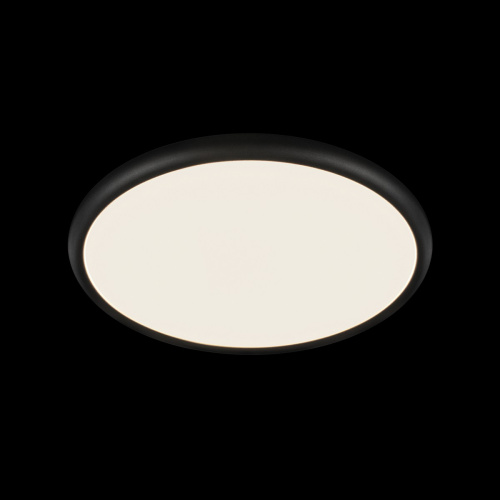 10454/400 Black  Потолочный светильник  LOFT IT Sweety фото 5