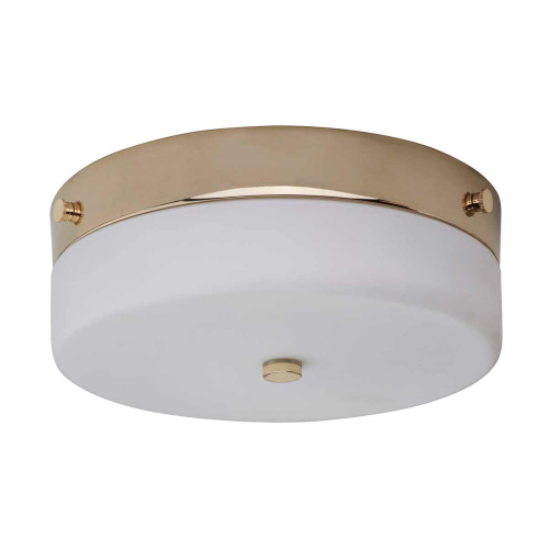 Потолочный светильник для ванных комнат Elstead Lighting TAMAR-F-M-PG фото 7