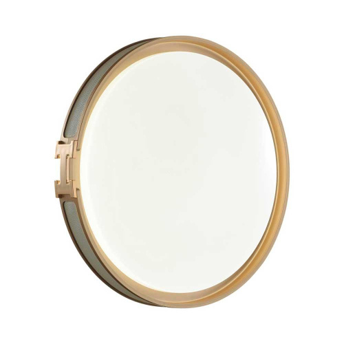 Настенно-потолочный светодиодный светильник Sonex Color Favemo Grey 7654/DL фото 4