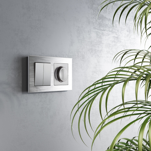 Перекрестный переключатель двухклавишный серебряный W1123008 фото 3