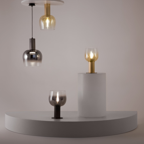 Настольный светильник Maytoni MOD414TL-01G фото 6