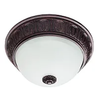 Потолочный светильник Arte Lamp PIATTI A8007PL-2CK
