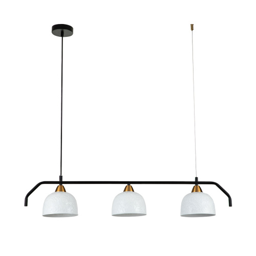 Подвесной светильник 10005/3PL Black фото 2