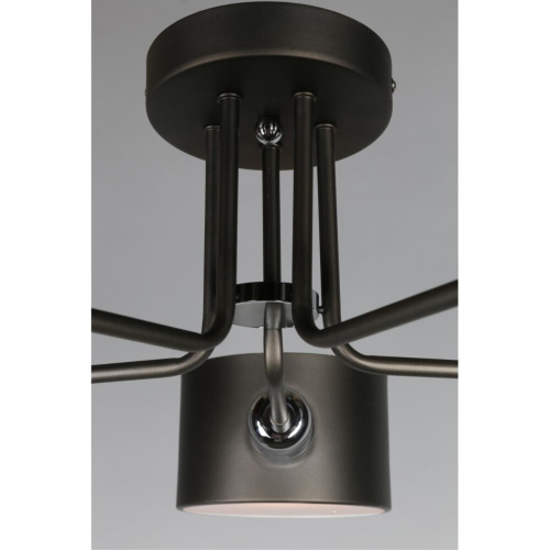 Люстра потолочная OML-54507-05 фото 2