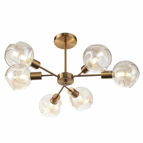 Потолочная люстра Evoluce Gentore SLE155302-06 фото 3