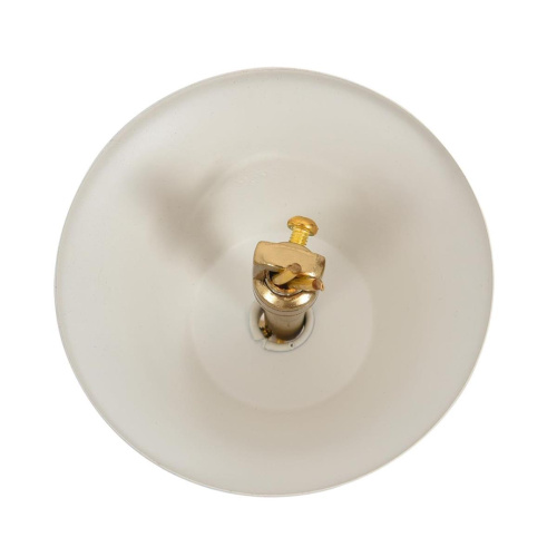 Люстра Lumion MITRIM 8374/6 фото 2 Люстра Lumion MITRIM 8374/6 фото 2