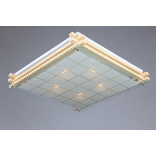 Светильник настенно-потолочный OML-40517-05 фото 3