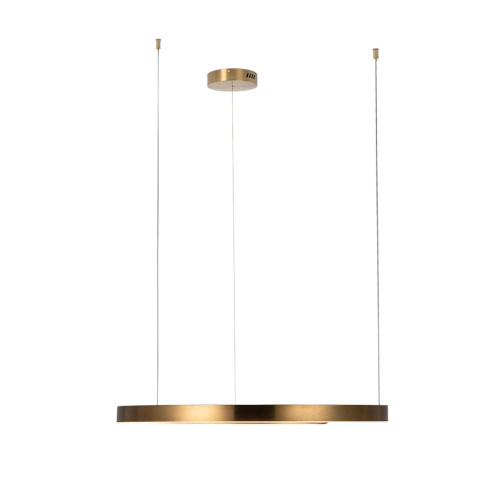 10013L Подвесной светильник LOFT IT Ring фото 2