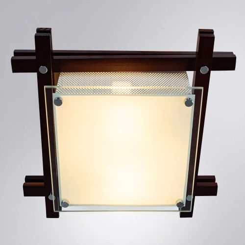 Потолочный светильник Arte Lamp ARCHIMEDE A6462PL-2CKB фото 2