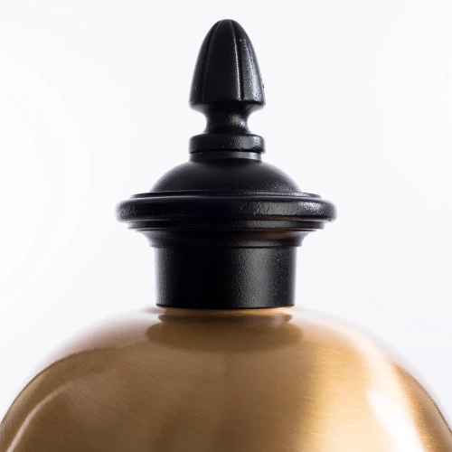 Ландшафтный светильник Arte Lamp BARCELONA A1484FN-1BK фото 3 Ландшафтный светильник Arte Lamp BARCELONA A1484FN-1BK фото 3