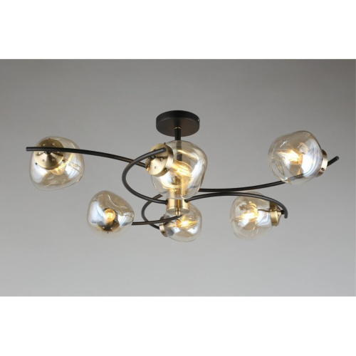 Люстра потолочная OML-95307-06 фото 9 Люстра потолочная OML-95307-06 фото 9