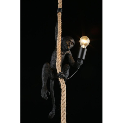 Светильник подвесной APL.309.16.01 фото 15 Светильник подвесной APL.309.16.01 фото 15