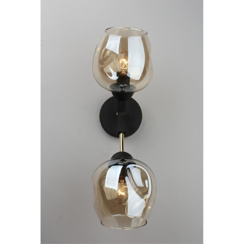 Светильник настенный (Бра) OML-93701-02 фото 3