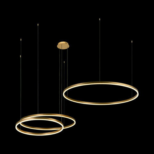 10017/3M Подвесной светильник LOFT IT Ring фото 4