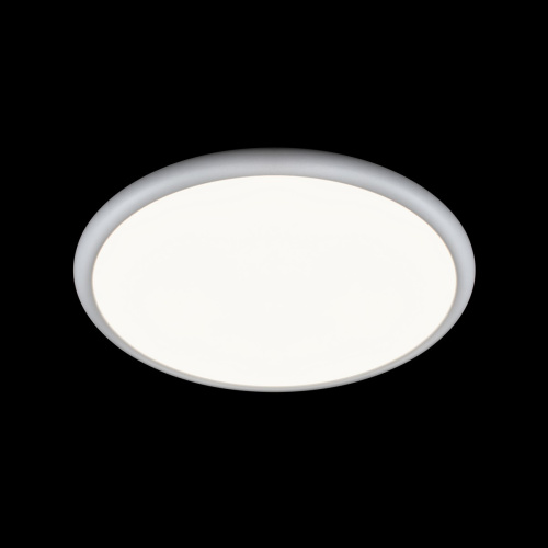 10454/400 White  Потолочный светильник  LOFT IT Sweety фото 5