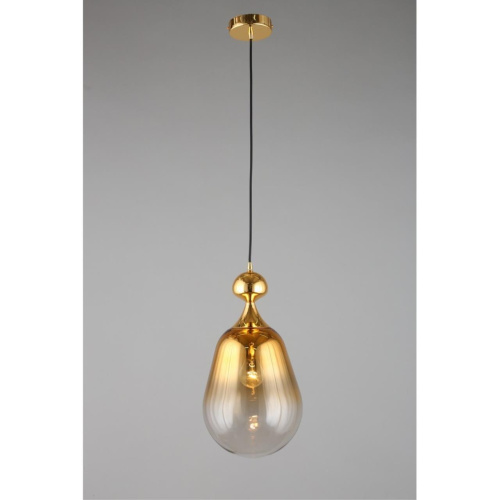 Светильник подвесной OML-99206-01 фото 4 Светильник подвесной OML-99206-01 фото 4