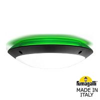 Fumagalli Уличное бра FUMAGALLI LUCIA BACKLIT 1R3.000.000.AYE27GN1