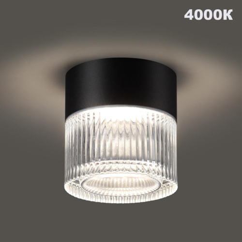 359716 STREET NT25 714 черный Светильник ландшафтный с переключ. цветовой температуры IP65 LED 12W 100-240V 2700К\3200К\4000К ESTIMA фото 4 359716 STREET NT25 714 черный Светильник ландшафтный с переключ. цветовой температуры IP65 LED 12W 100-240V 2700К\3200К\4000К ESTIMA фото 4